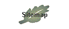 Sitemap