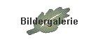 Bildergalerie