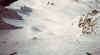010_31.JPG (24737 Byte)