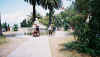 019 achileo.jpg (79003 Byte)