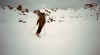 028_13.JPG (17421 Byte)
