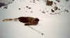 030_11.JPG (16765 Byte)