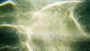 032 under water.jpg (85589 Byte)